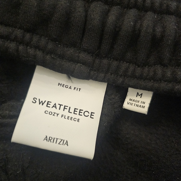 Aritzia Mega Fit Sweatfleece Cargo Sweat Pants - Picture 6 of 8